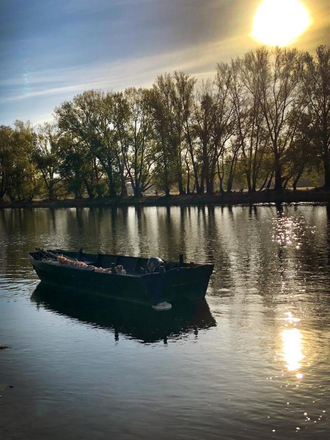 Au Canon - Parking Gratuit - Bords De Loire オルレアン エクステリア 写真
